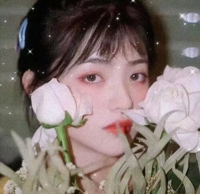 老虎